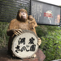 洞窟きのこ園閉園のお知らせと猿の置物
