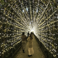 たくさんの電球でライトアップされた光のトンネル