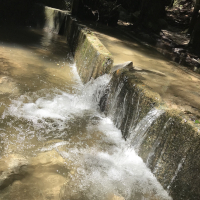 清らかに流れる川