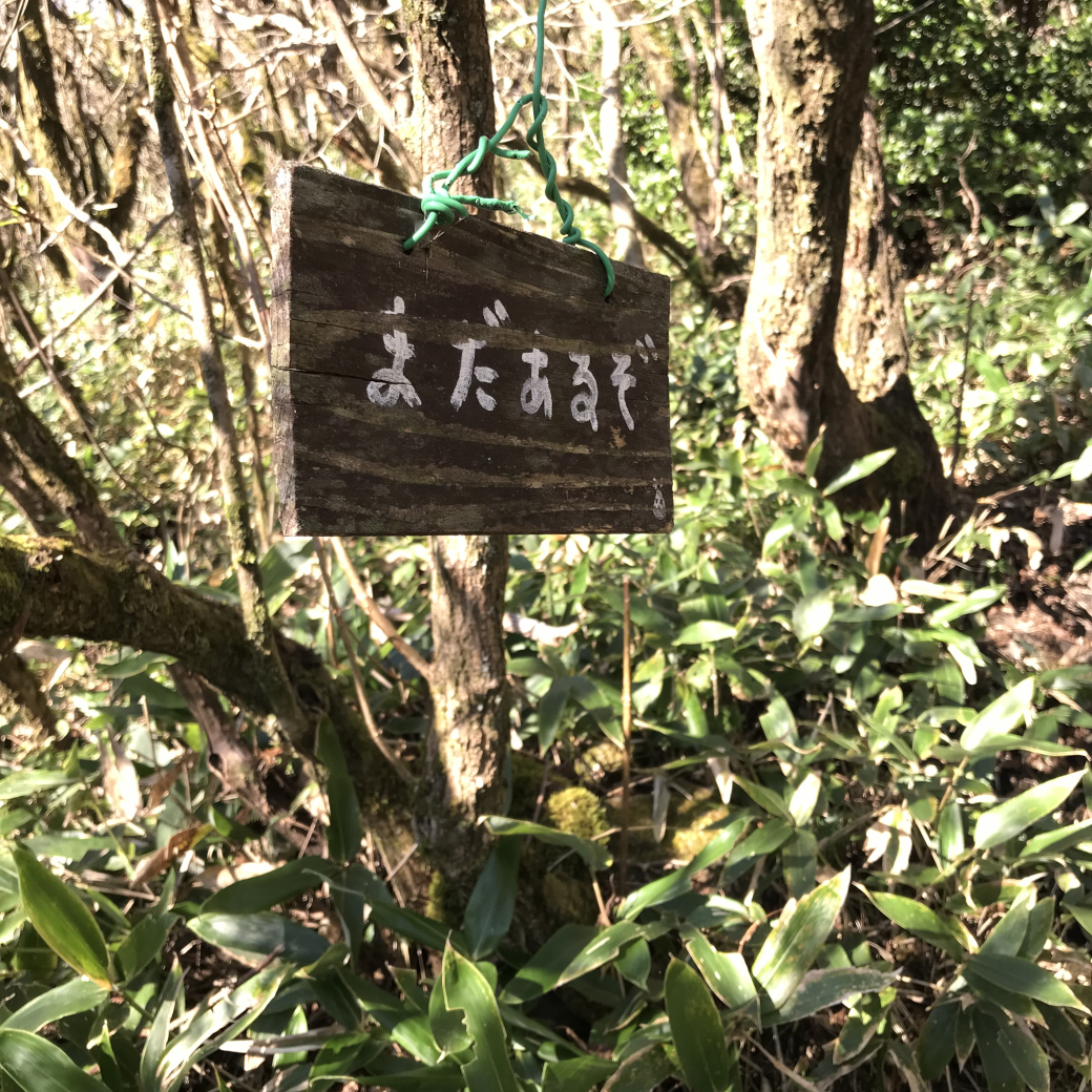 疲れ果てた登山道にぶら下がる「まだあるぞ」の標識