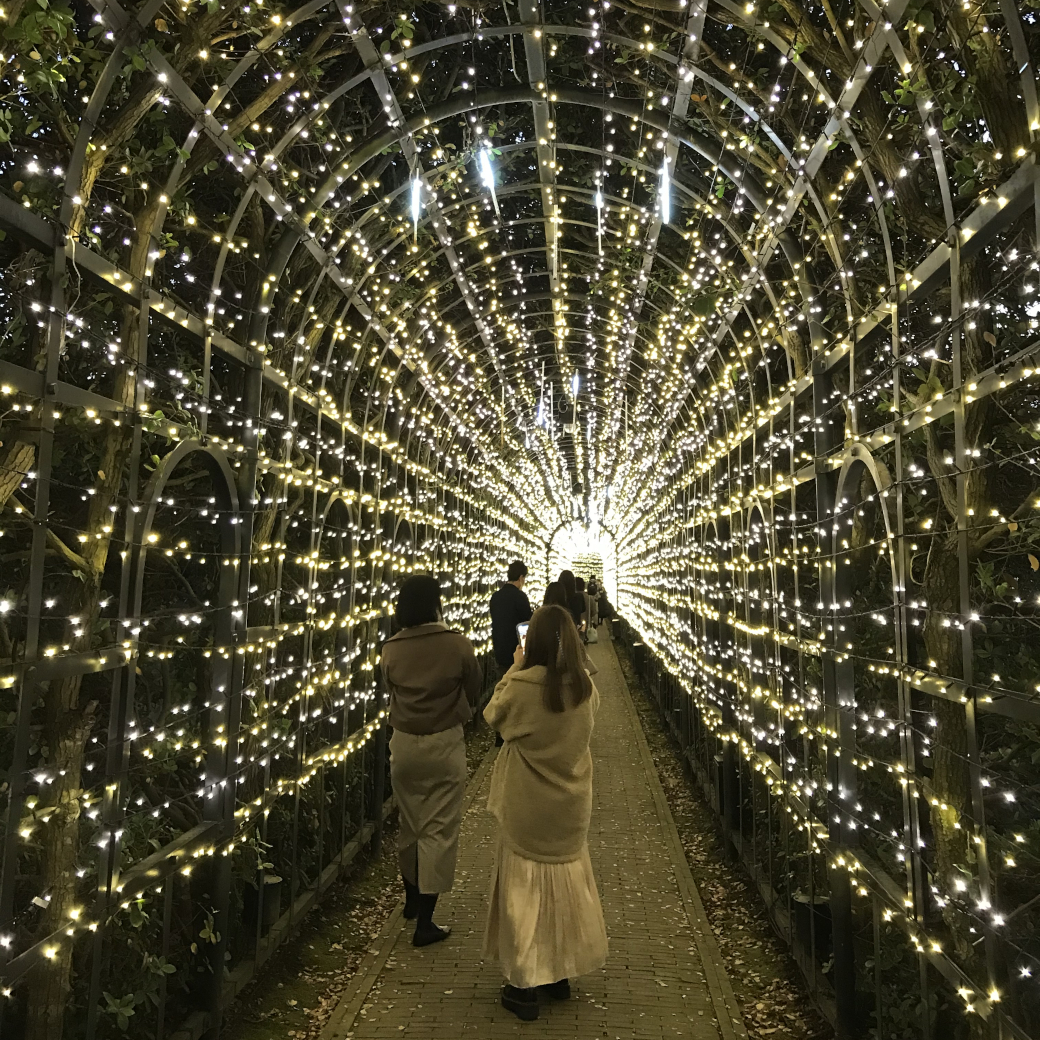 たくさんの電球でライトアップされた光のトンネル