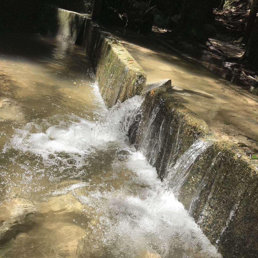 清らかに流れる川