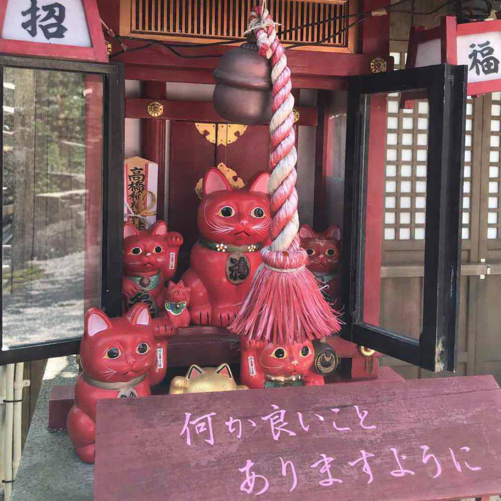たくさんの赤い招き猫が祀られた神社