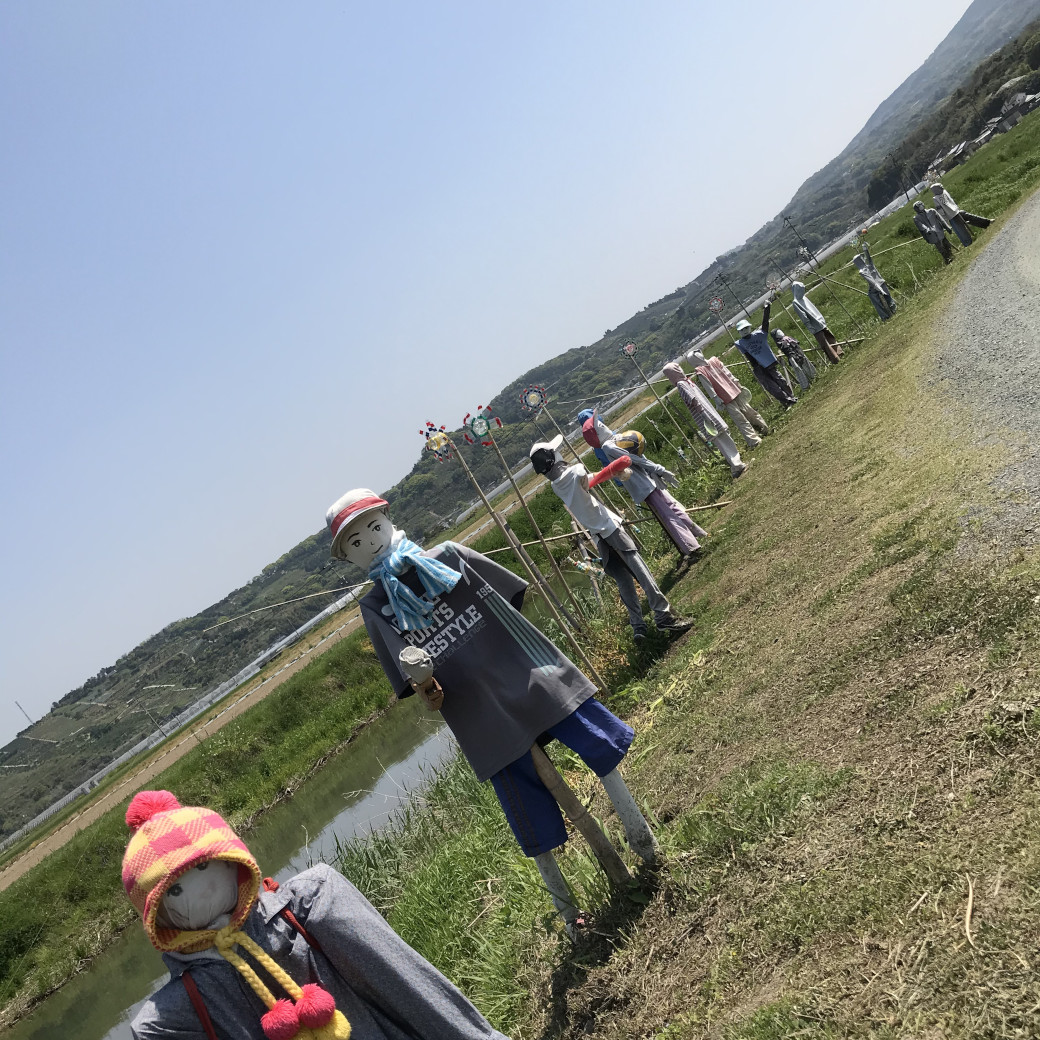 立ち並ぶ案山子